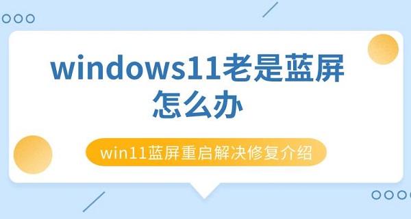 windows11老是藍屏怎么辦 win11藍屏重啟解決修復(fù)介紹