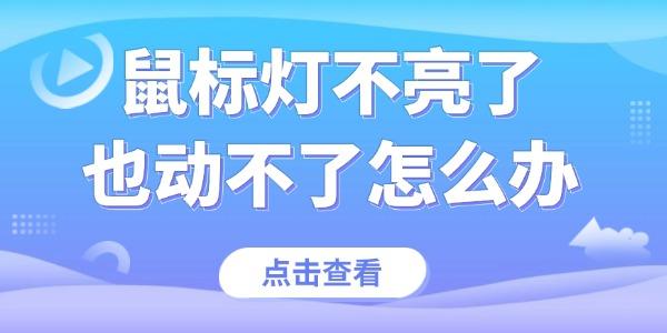 鼠標燈不亮了也動不了怎么辦