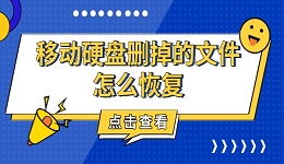 移動(dòng)硬盤刪掉的文件怎么恢復(fù) 推薦4個(gè)簡(jiǎn)單的恢復(fù)方法